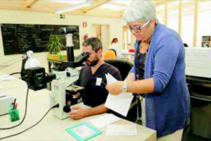Eldine_Patologia_Estrena_LAbos-729x1024 Eldine_Patologia_Estrena_LAbos-729x1024
